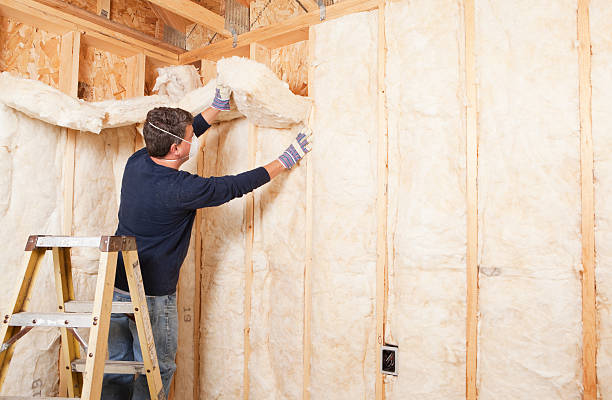 Best Batt and Roll Insulation  in Bradner, OH